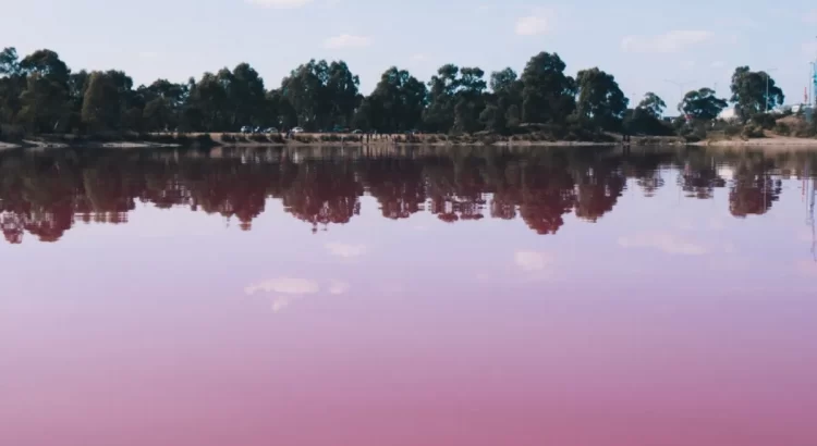Se pinta de rosa la Laguna Alotengo de la Costa de Oaxaca