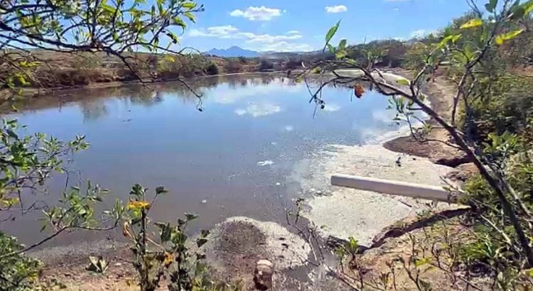 Investigarán a granja porcícola de Puebla por tirar aguas negras en lagunas artificiales en Oaxaca