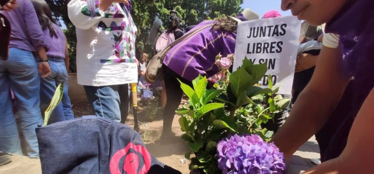 Con siembra de flores moradas en el Zócalo de Oaxaca, mujeres exigen que llegue justicia ante feminicidios