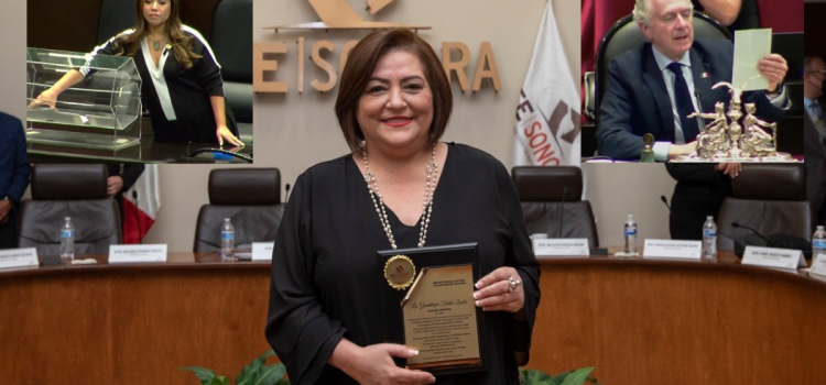 Guadalupe Taddei es elegida como la nueva presidenta del INE Guadalupe Taddei es elegida como la nueva presidenta del INE