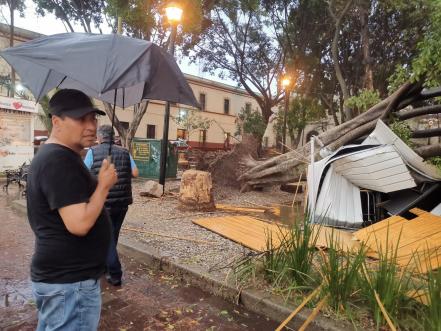 Se esperan tormentas, lluvias y actividad eléctrica en 4 regiones de Oaxaca