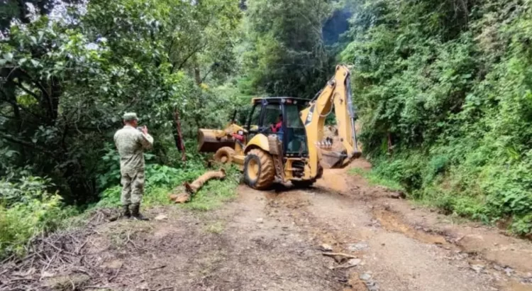 Activan Plan DN-III en  zonas afectadas de Oaxaca por onda tropical número 22