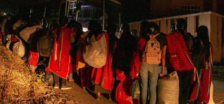 Con caravana a CDMX, desplazados triquis exigen retorno seguro a Tierra Blanca, su comunidad en Oaxaca