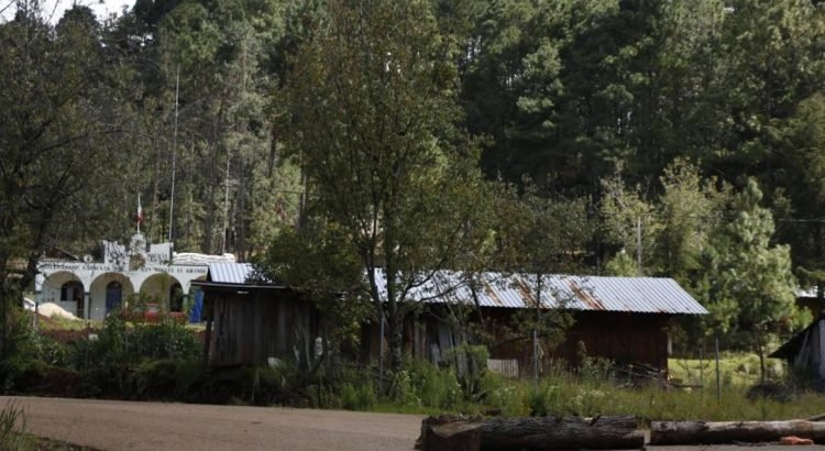 Detienen a presunto autor intelectual de emboscada que dejó 5 muertos en Oaxaca