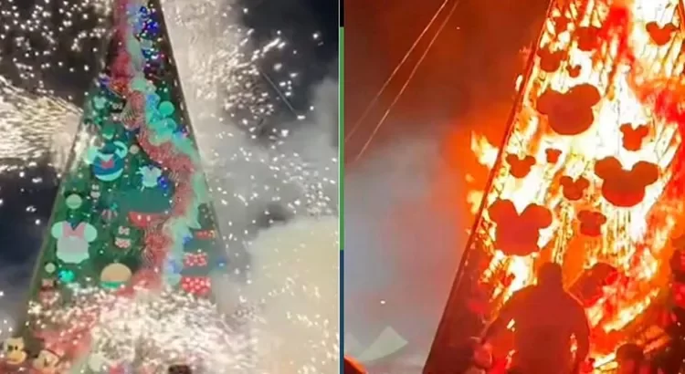 Literal, acudieron al encendido del árbol navideño Literal, acudieron al encendido del árbol navideño