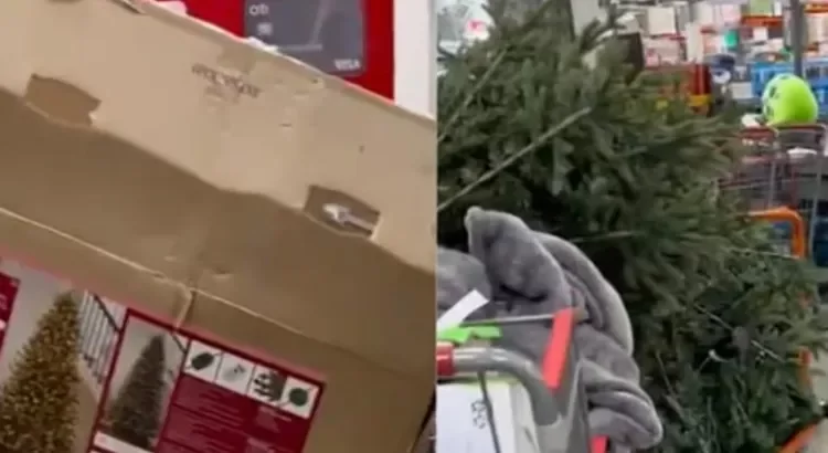 Están regresando los arbolitos a la tienda … en enero Están regresando los arbolitos a la tienda … en enero