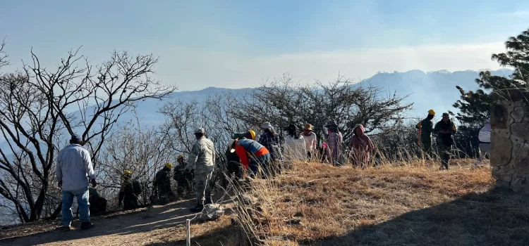 Un incendio afecta 30 hectáreas de zona arqueológica de Monte Albán