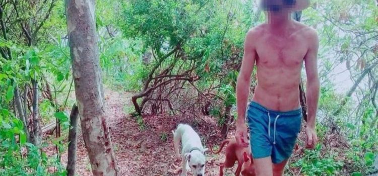 Sacrifican a perros tras atacar a niño de 9 años en Costa de Oaxaca