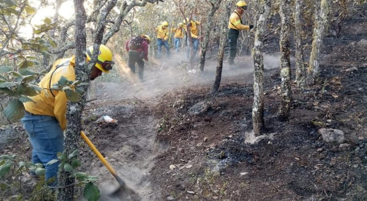 Liquidado al 60% fuego en Quiaviní, pero se registran dos incendios más en Oaxaca