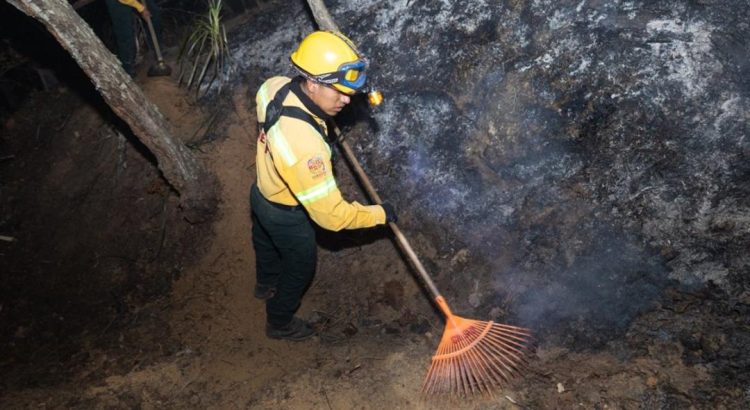 Atienden incendio forestal en San Martín Peras, en la Mixteca de Oaxaca