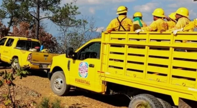 Reportan nuevo incendio forestal en Tilantongo, en la Mixteca de Oaxaca