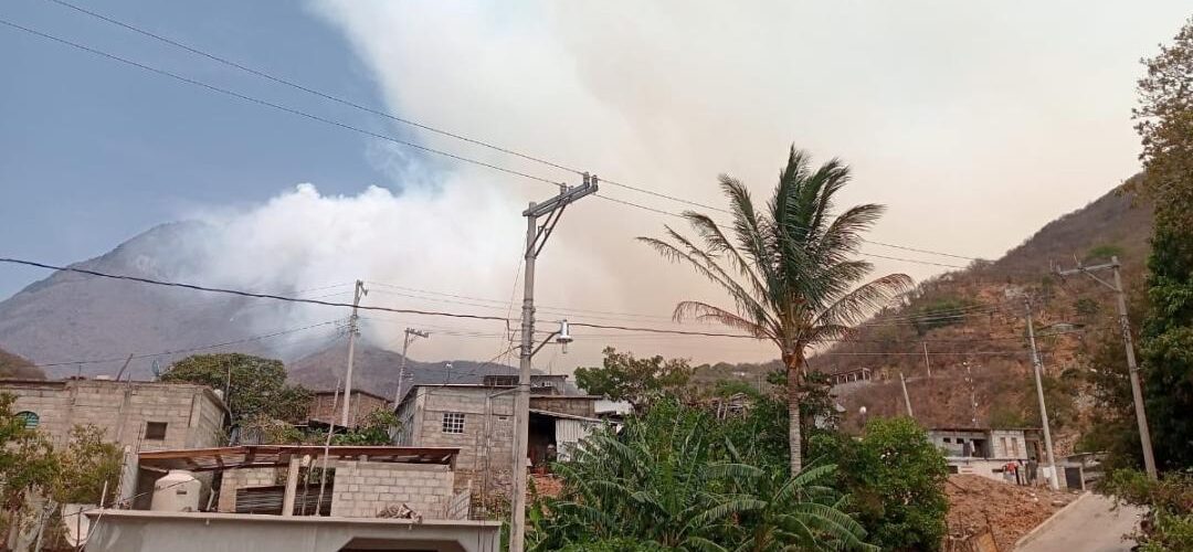 Incendio consume bosques de Lachiguiri en Oaxaca