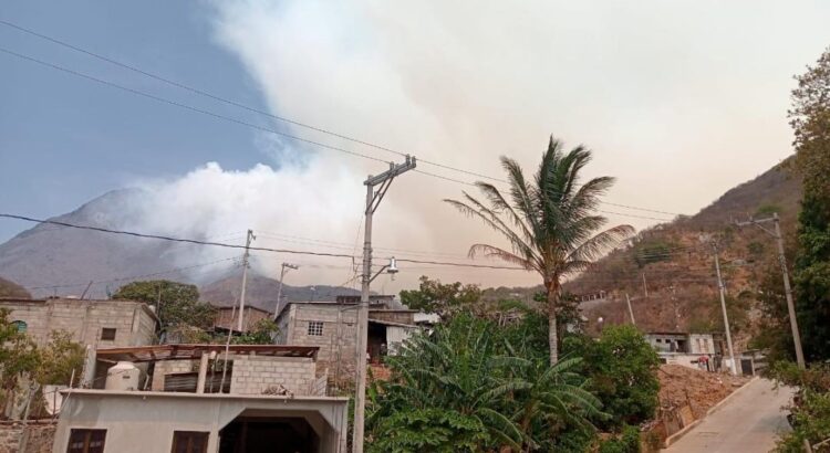 Incendio consume bosques de Lachiguiri en Oaxaca