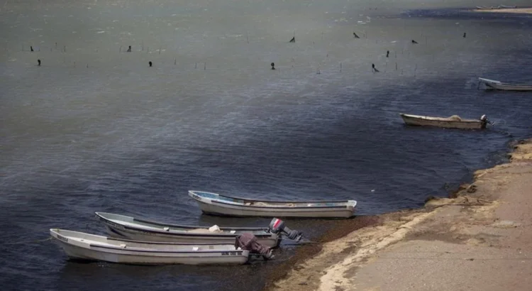 Naufragan tres pescadores de Oaxaca en el Golfo de Tehuantepec; recuperan 2 cuerpos