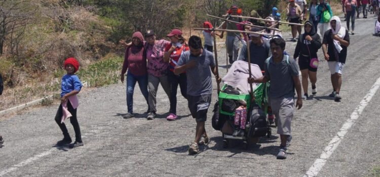 Tras 10 días de recorrer Oaxaca en Viacrucis, brindan atención médica a 3 mil migrantes Tras 10 días de recorrer Oaxaca en Viacrucis, brindan atención médica a 3 mil migrantes