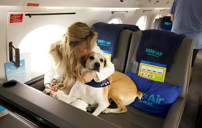 Bark Air, una aerolínea bien perrona