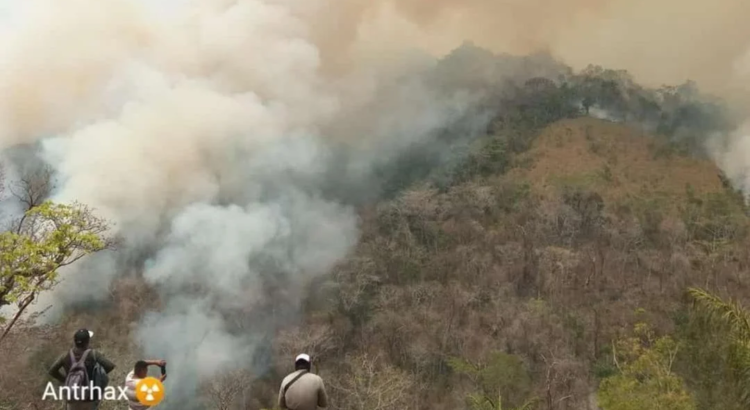 Lluvias, esperanza del pueblo zoque de Oaxaca ante incendios que consumen selva de Los Chimalapas