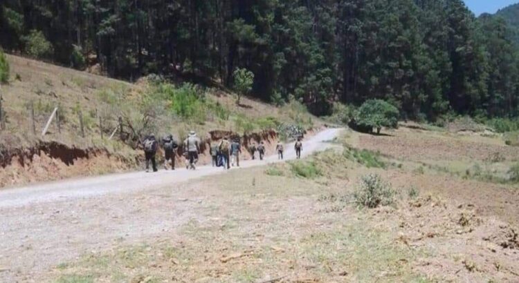 Piden al gobierno de Oaxaca garantizar vida y seguridad de desplazados de San Pedro el Alto