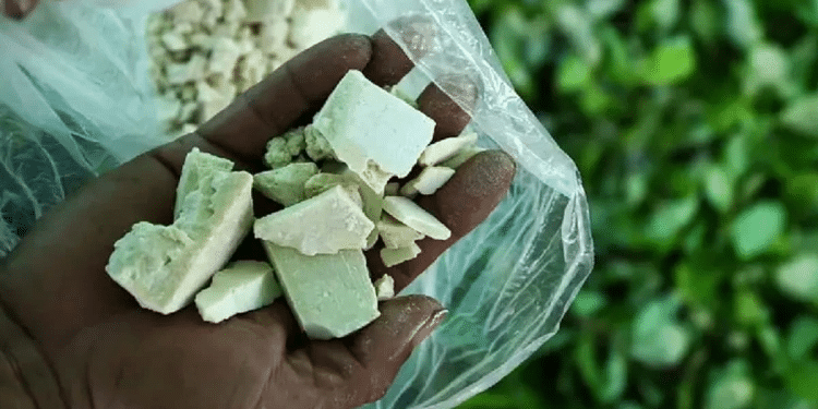 Colombia registró un aumento récord en la producción de cocaína: ONU Colombia registró un aumento récord en la producción de cocaína: ONU