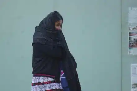Heladas y temperaturas bajo cero golpean Oaxaca; advierten continuarán por el Frente Frío número 11 Heladas y temperaturas bajo cero golpean Oaxaca; advierten continuarán por el Frente Frío número 11