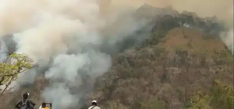 Con 416 mil hectáreas, Oaxaca es el segundo estado del país que perdió más bosques por incendios