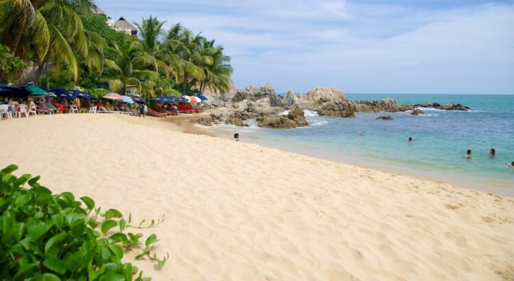 Desaparecen en Oaxaca al menos 14 personas, la mayoría jóvenes; viajaban a Puerto de Escondido Desaparecen en Oaxaca al menos 14 personas, la mayoría jóvenes; viajaban a Puerto de Escondido