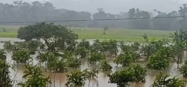 Se desborda río Uxpanapa, deja mil 500 personas incomunicadas y daños en cultivos en los Chimalapas