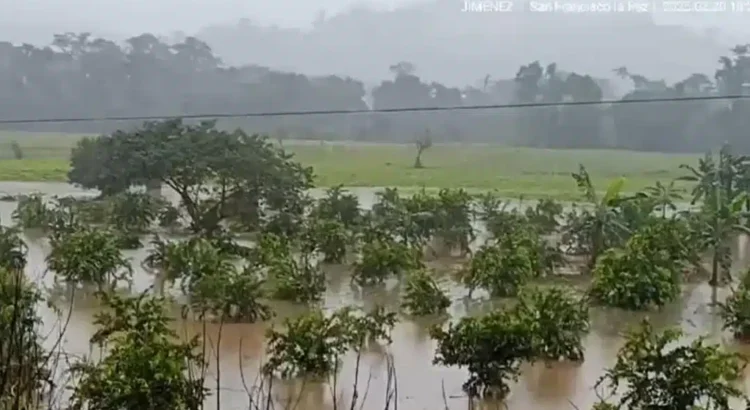 Se desborda río Uxpanapa, deja mil 500 personas incomunicadas y daños en cultivos en los Chimalapas