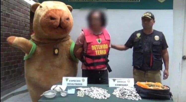 Policía disfrazado de capibara captura a traficante de drogas Policía disfrazado de capibara captura a traficante de drogas