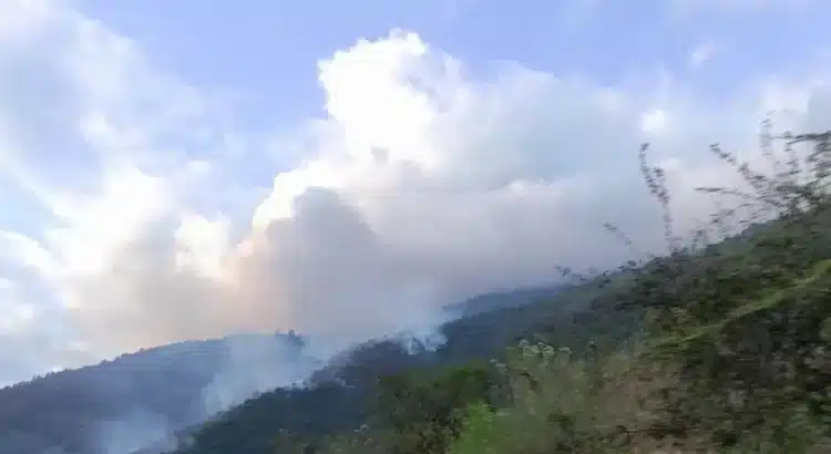 Reportan incendio en Yosoyuxi Copala, en la Mixteca de Oaxaca Reportan incendio en Yosoyuxi Copala, en la Mixteca de Oaxaca