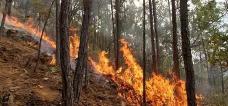 Reportan incendio forestal en zona de conflicto entre San Juan Mixtepec y Yosoñama, Oaxaca