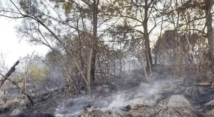Fallece un hombre en incendio forestal, en la Mixteca; suman 10 incendios en Oaxaca