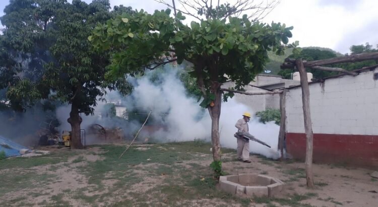 Proliferación de dengue pone en alto riesgo a cuatro municipios del Istmo de Oaxaca