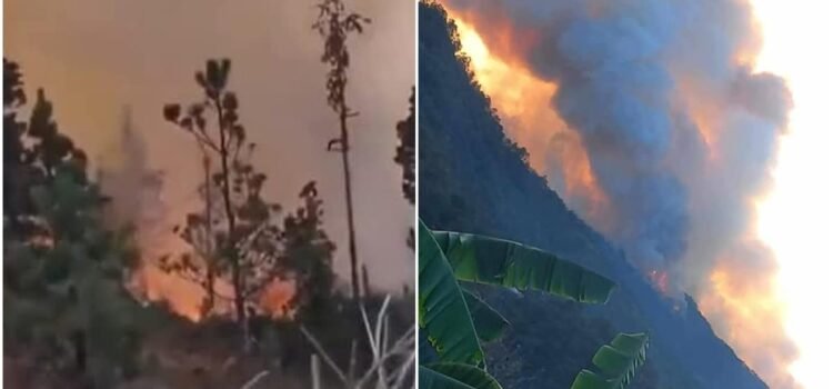 Muere menor de edad por incendio forestal en Santa María Peñoles, Oaxaca; suman 3 víctimas
