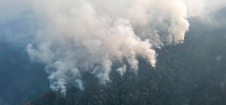 Suman 76 incendios en el estado de Oaxaca; se mantienen 5 activos