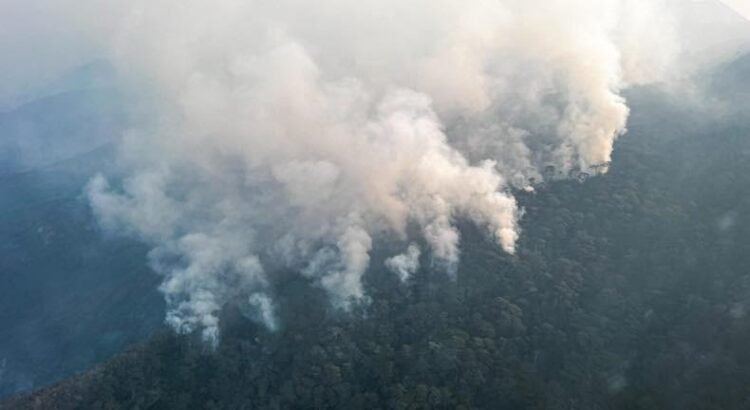 Suman 76 incendios en el estado de Oaxaca; se mantienen 5 activos