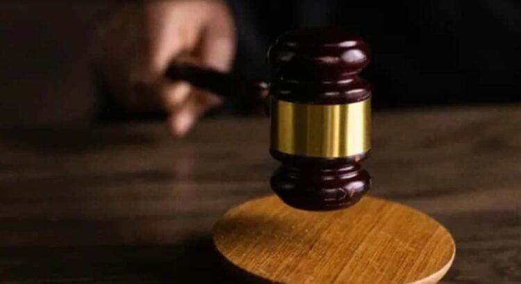 Más de 136 mil personas buscan ser observadores en las elecciones judiciales Más de 136 mil personas buscan ser observadores en las elecciones judiciales