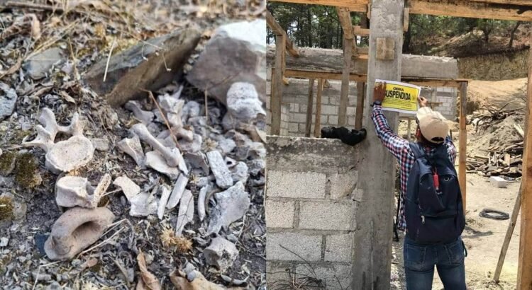 Denuncian saqueo de vestigios en el Cerro Encantado de Tlaxiaco, Oaxaca