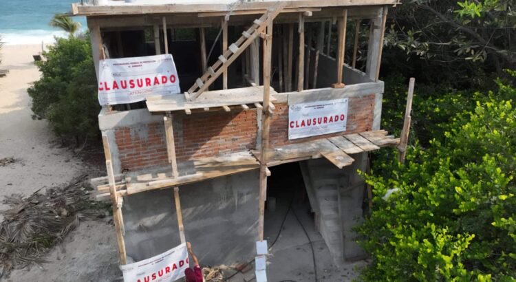 Clausuran desarrollos inmobiliarios en la Costa de Oaxaca por afectaciones al manglar y áreas forestales