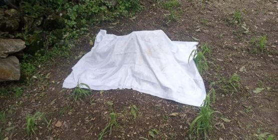 “Solicitamos apoyo urgente, nos están matando”, denuncian autoridades de San Juan Mixtepec, Oaxaca