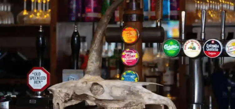 Encontró turista un “cráneo de unicornio” Encontró turista un “cráneo de unicornio”