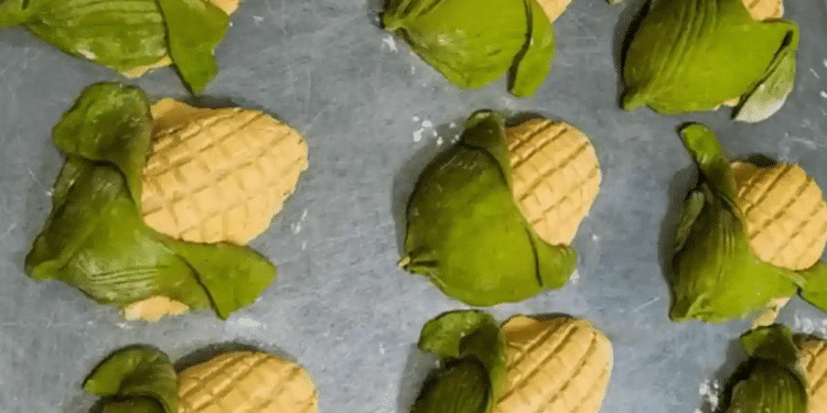 ¿Antojo? qué tal una conchaelote ¿Antojo? qué tal una conchaelote