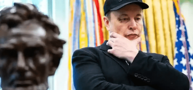 Lanza Musk su propio partido