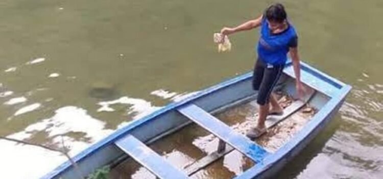 Joven es arrastrado por río en comunidad de Oaxaca; implementan operativo de búsqueda Joven es arrastrado por río en comunidad de Oaxaca; implementan operativo de búsqueda