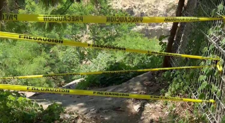 Mueren dos hombres tras ataque de abejas africanizadas en Puerto Escondido Mueren dos hombres tras ataque de abejas africanizadas en Puerto Escondido