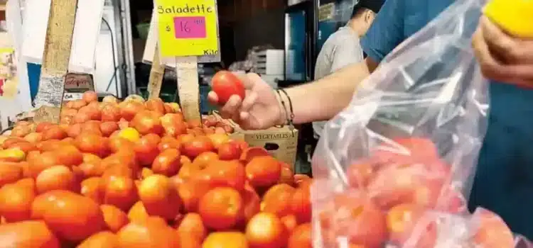 No hay país que pueda sustituir a México en la producción de tomate