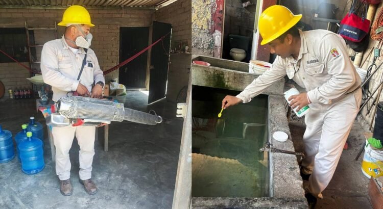 Confirman una muerte más por dengue en Oaxaca; menores de 10 a 14 años, los más afectados Confirman una muerte más por dengue en Oaxaca; menores de 10 a 14 años, los más afectados