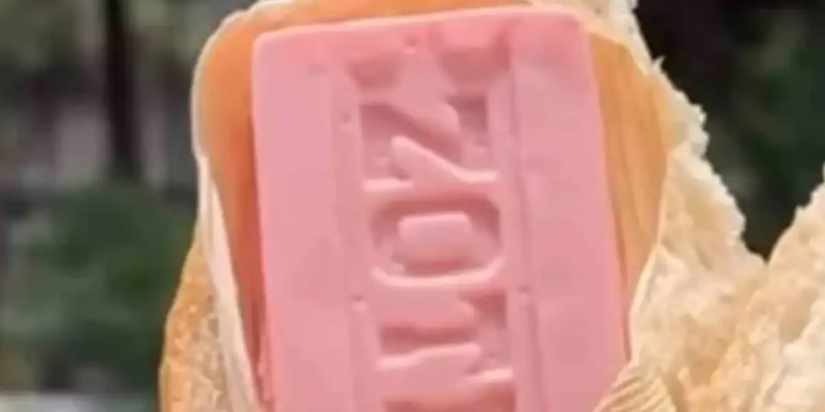 ¡ Qué tamalZote! ¡ Qué tamalZote!