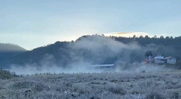 Bajas temperaturas pegan a la Mixteca; reportan hasta – 1°C; 86 municipios están en alto riesgo Bajas temperaturas pegan a la Mixteca; reportan hasta – 1°C; 86 municipios están en alto riesgo