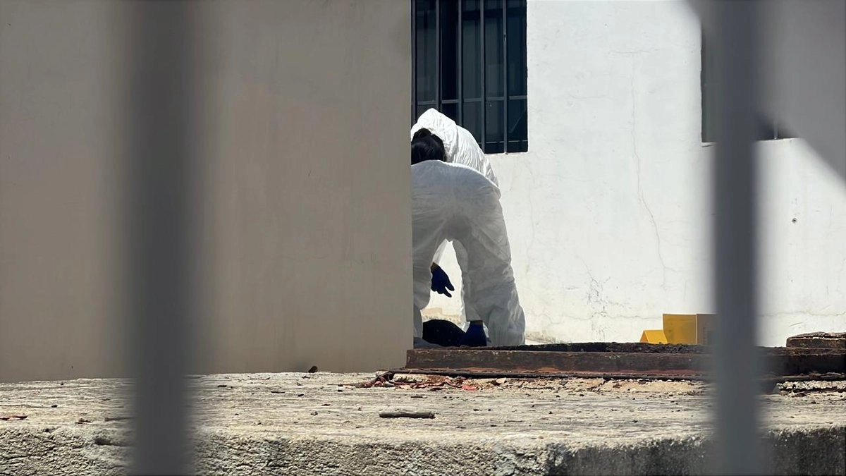 ONU ofrece apoyo técnico tras muerte de 2 niñas migrantes; reportan otros 8 niños muertos en albergues del DIF Oaxaca